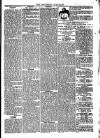 Southend Standard and Essex Weekly Advertiser Friday 03 January 1879 Page 5