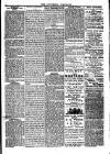 Southend Standard and Essex Weekly Advertiser Friday 10 January 1879 Page 5