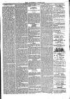 Southend Standard and Essex Weekly Advertiser Friday 17 January 1879 Page 5