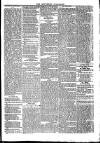 Southend Standard and Essex Weekly Advertiser Friday 31 January 1879 Page 5