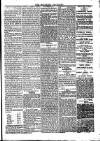 Southend Standard and Essex Weekly Advertiser Friday 07 February 1879 Page 5