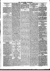 Southend Standard and Essex Weekly Advertiser Friday 21 February 1879 Page 5