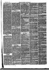 Southend Standard and Essex Weekly Advertiser Friday 21 February 1879 Page 7