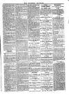 Southend Standard and Essex Weekly Advertiser Friday 07 March 1879 Page 5