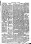 Southend Standard and Essex Weekly Advertiser Friday 16 May 1879 Page 5