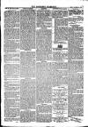 Southend Standard and Essex Weekly Advertiser Friday 24 October 1879 Page 5