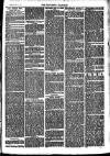 Southend Standard and Essex Weekly Advertiser Friday 19 December 1879 Page 3