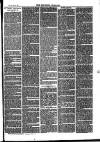 Southend Standard and Essex Weekly Advertiser Friday 26 December 1879 Page 3