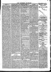 Southend Standard and Essex Weekly Advertiser Friday 26 December 1879 Page 5