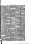 Southend Standard and Essex Weekly Advertiser Friday 09 January 1880 Page 3