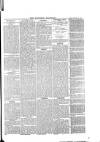 Southend Standard and Essex Weekly Advertiser Friday 09 January 1880 Page 5