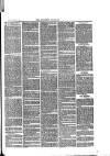 Southend Standard and Essex Weekly Advertiser Friday 09 January 1880 Page 7