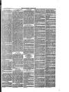 Southend Standard and Essex Weekly Advertiser Friday 20 February 1880 Page 3