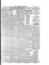 Southend Standard and Essex Weekly Advertiser Friday 20 February 1880 Page 5