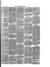 Southend Standard and Essex Weekly Advertiser Friday 20 February 1880 Page 7