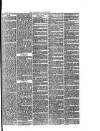 Southend Standard and Essex Weekly Advertiser Friday 05 March 1880 Page 3