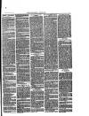 Southend Standard and Essex Weekly Advertiser Friday 05 March 1880 Page 7