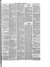 Southend Standard and Essex Weekly Advertiser Friday 07 May 1880 Page 5