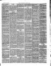 Southend Standard and Essex Weekly Advertiser Friday 23 July 1880 Page 7