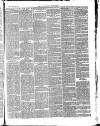 Southend Standard and Essex Weekly Advertiser Friday 24 September 1880 Page 7