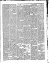 Southend Standard and Essex Weekly Advertiser Friday 01 October 1880 Page 5