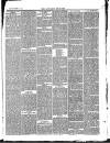 Southend Standard and Essex Weekly Advertiser Friday 15 October 1880 Page 3