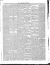 Southend Standard and Essex Weekly Advertiser Friday 15 October 1880 Page 5