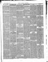 Southend Standard and Essex Weekly Advertiser Friday 22 October 1880 Page 3