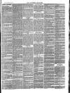 Southend Standard and Essex Weekly Advertiser Friday 25 February 1881 Page 7