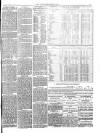 Southend Standard and Essex Weekly Advertiser Friday 03 February 1882 Page 7