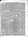 Southend Standard and Essex Weekly Advertiser Friday 07 November 1884 Page 3