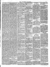 Southend Standard and Essex Weekly Advertiser Thursday 22 March 1888 Page 3