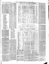 Southend Standard and Essex Weekly Advertiser Thursday 03 January 1889 Page 7