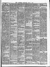 Southend Standard and Essex Weekly Advertiser Thursday 07 February 1895 Page 5