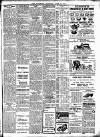 Southend Standard and Essex Weekly Advertiser Thursday 20 June 1901 Page 7