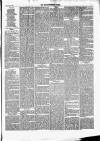 Kidderminster Times and Advertiser for Bewdley & Stourport Saturday 04 December 1869 Page 3