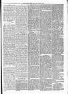 Kidderminster Times and Advertiser for Bewdley & Stourport Saturday 28 October 1876 Page 5