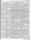 Islington News and Hornsey Gazette Saturday 12 February 1898 Page 7