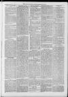 Harrow Gazette Saturday 26 February 1870 Page 3