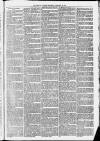 Harrow Gazette Saturday 20 February 1875 Page 3