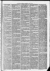Harrow Gazette Saturday 17 April 1875 Page 3