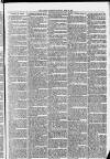 Harrow Gazette Saturday 24 April 1875 Page 3