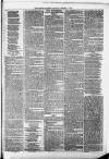 Harrow Gazette Saturday 01 January 1876 Page 3