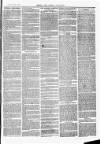 Herts & Cambs Reporter & Royston Crow Friday 22 March 1878 Page 3