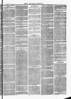 Herts & Cambs Reporter & Royston Crow Friday 29 March 1878 Page 3