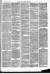 Herts & Cambs Reporter & Royston Crow Friday 05 April 1878 Page 3
