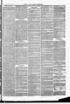 Herts & Cambs Reporter & Royston Crow Friday 05 April 1878 Page 7