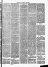 Herts & Cambs Reporter & Royston Crow Friday 03 May 1878 Page 3
