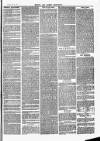 Herts & Cambs Reporter & Royston Crow Friday 31 May 1878 Page 3
