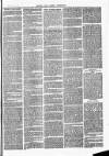 Herts & Cambs Reporter & Royston Crow Friday 07 June 1878 Page 3
